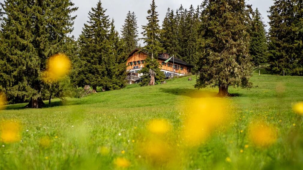 Gufferthütte Blumenwiese