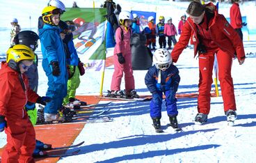 Sample card dwarf lions Sample card dwarf lions