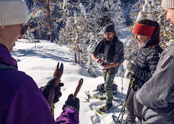 Wildtiere im Winter