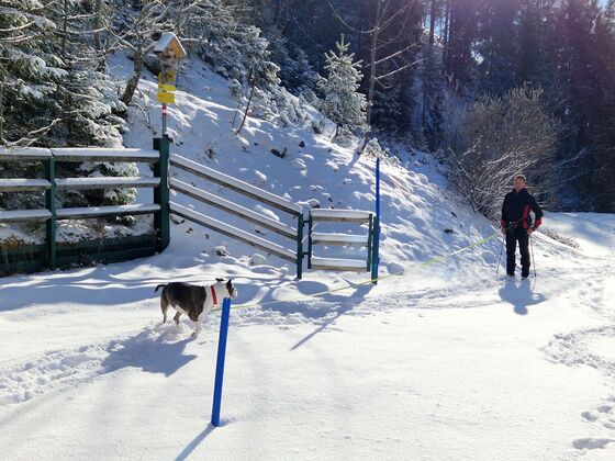 Appartements Hubertus