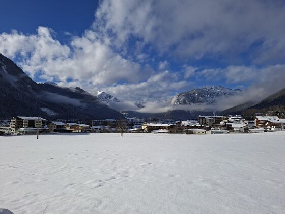 Bichler's Alpennest