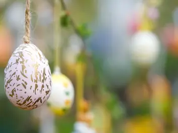 Ostereierschießen 5.0