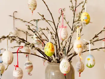 Feuer frei auf´s bunte Ei