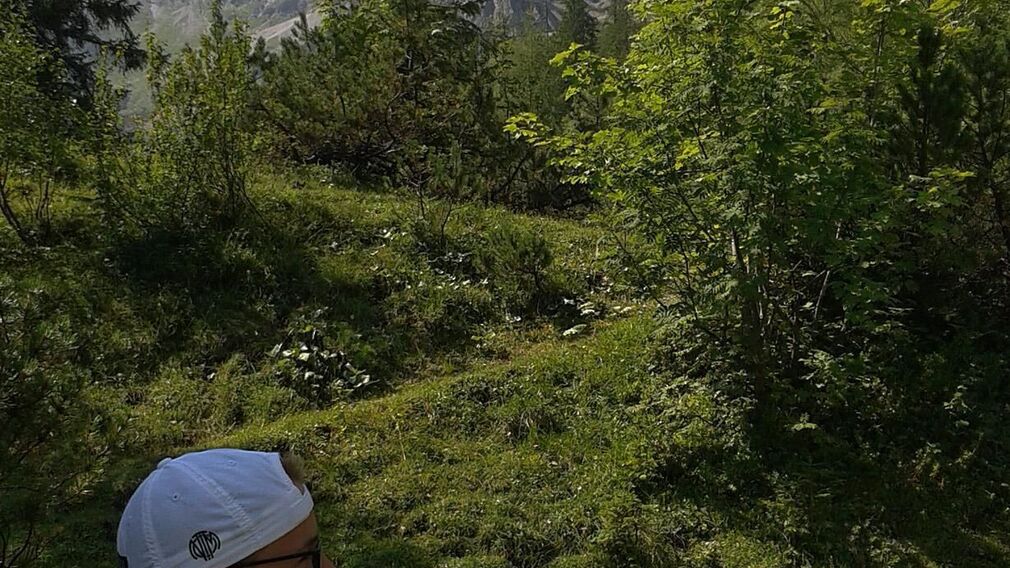 Haus Bergfreund - Sommer