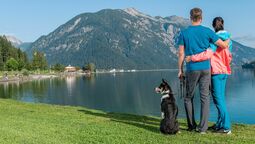 View from the dog-friendly bathing area between Pertisau and Maurach