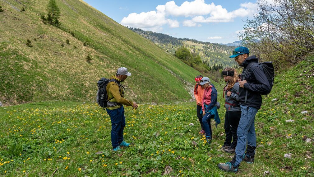 On the way to the Moosenalm in Achenkirch, participants on the Nature Watch Tour gain fascinating insights into the region's diverse flora and fauna.