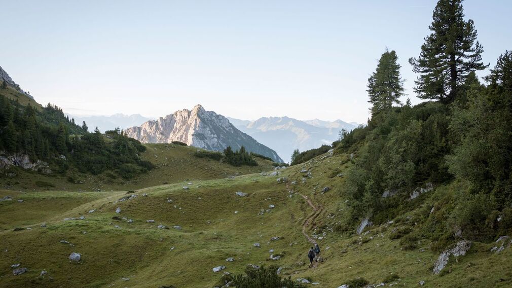 Eagle Walk Stage: 06