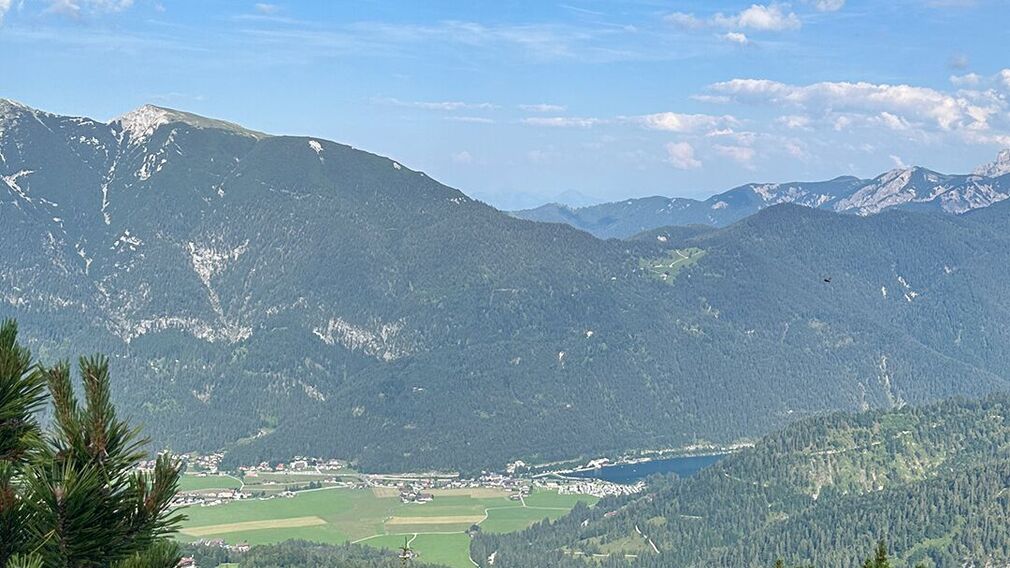 On the way to the Moosenalm in Achenkirch, participants on the Nature Watch Tour gain fascinating insights into the region's diverse flora and fauna.