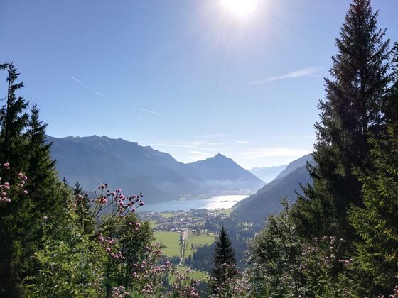 Ferienhaus-Bauernhof Bogstlhof