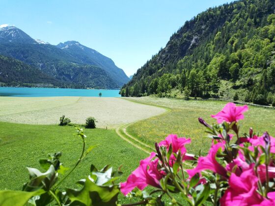 Ferienwohnung Hinterwinkl