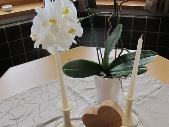 Appartement Top Tirol