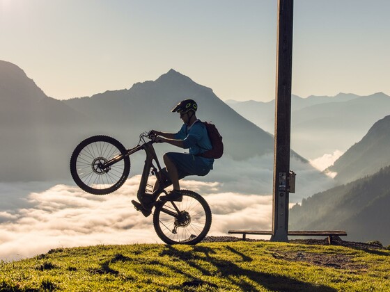 Mountainbike Technik Special