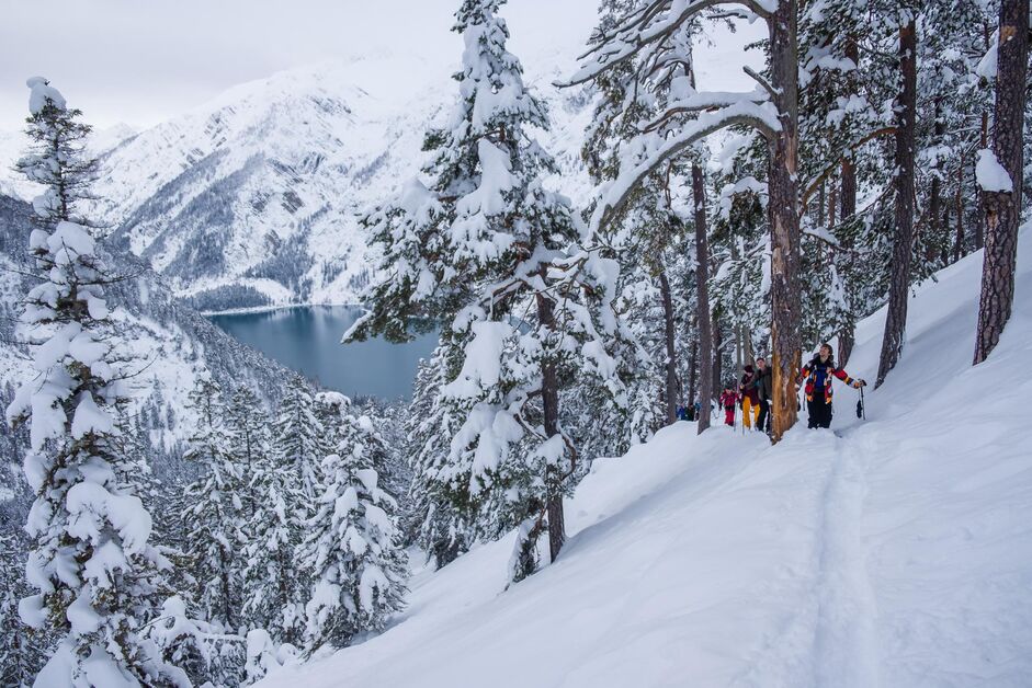 Splitboard Festival