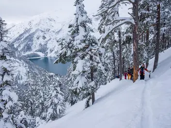 Splitboard Festival