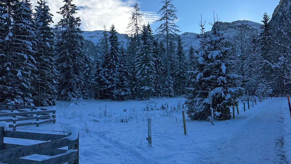 am Beginn des Winterwanderwegs "Kleine Tristenau Runde" in Pertisau