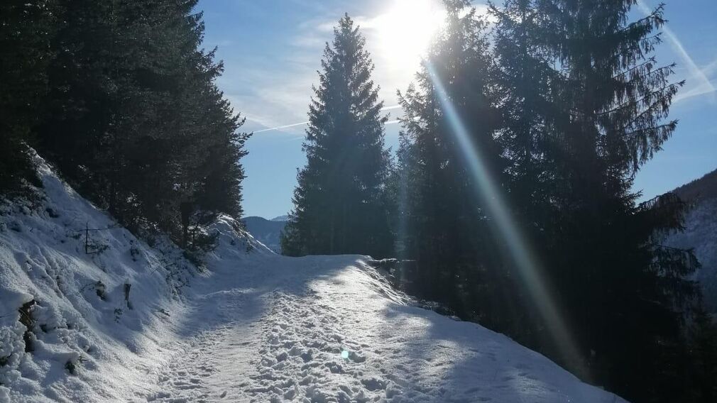 Haus Gruber - Sommer