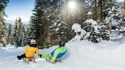 Tobogganing at lake Achensee