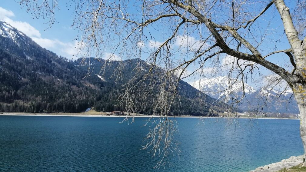 Haus Gruber - Sommer