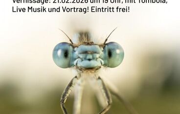 Vernissage “Mo(o)re-Or-Less”