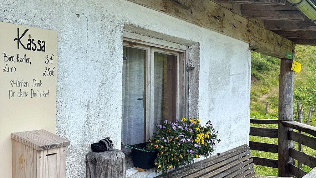 On the way to the Moosenalm in Achenkirch, participants on the Nature Watch Tour gain fascinating insights into the region's diverse flora and fauna.