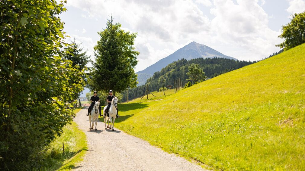 Edle Lipizzaner sind in den Stallungen des Posthotel Achenkirch zu Hause.