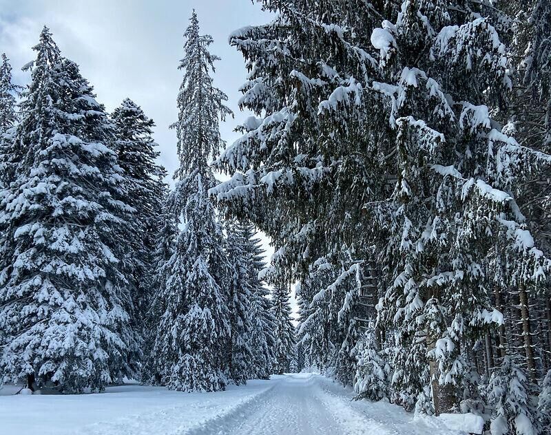 Landschaft im Winter