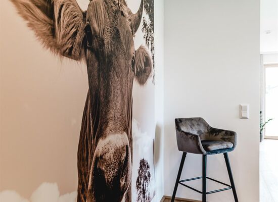 Cabin Typ "Karwendelblick"