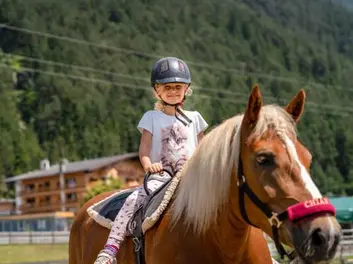 Das Leben ist ein Ponyhof