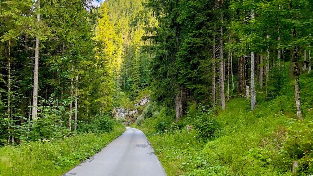 two mountain bikers - on the way on the Rotwandalm towards Bächental and Sylvensteinstausee