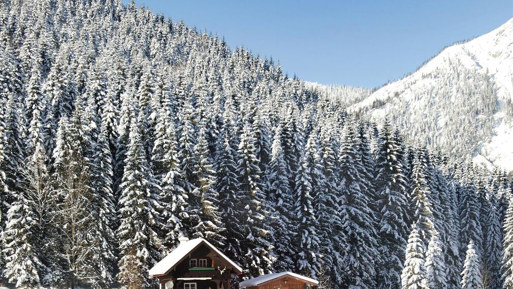 Ferienhaus Grossmitt im Sommer