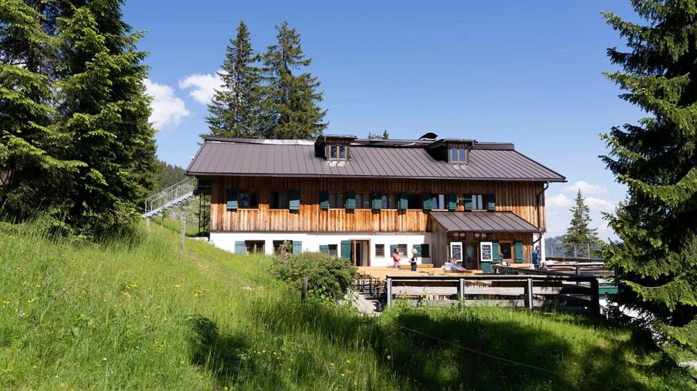 Gufferthütte Blumenwiese