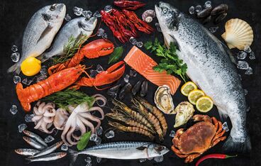 Herring meal Herring meal