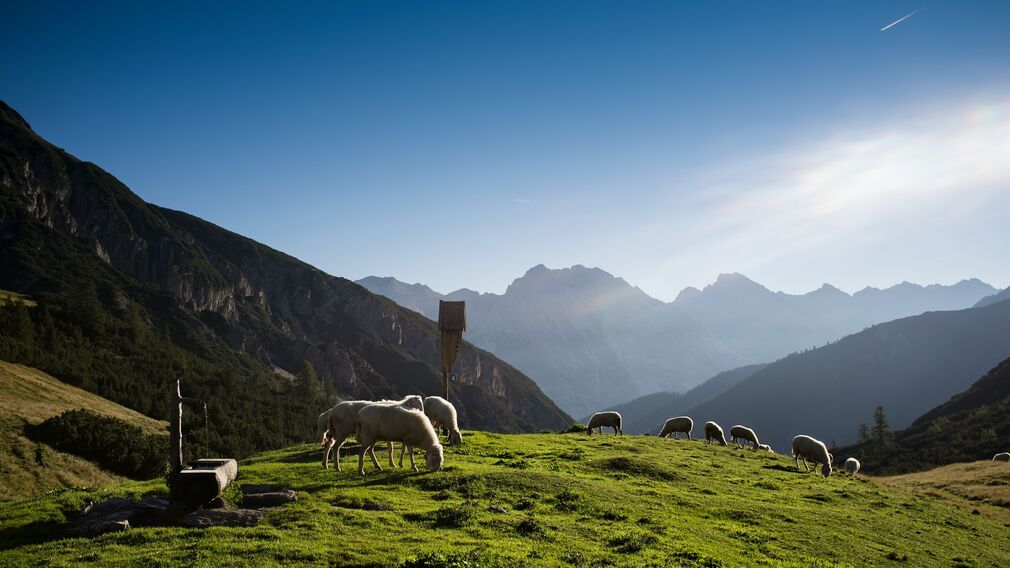 zirl_solsteinhaus_erlsattel_tirol_werbung_wiedenhofer_martina_zirl.jpg