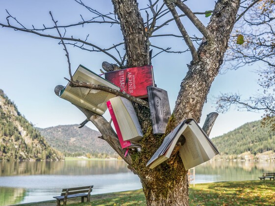 Literarische Tage am Achensee