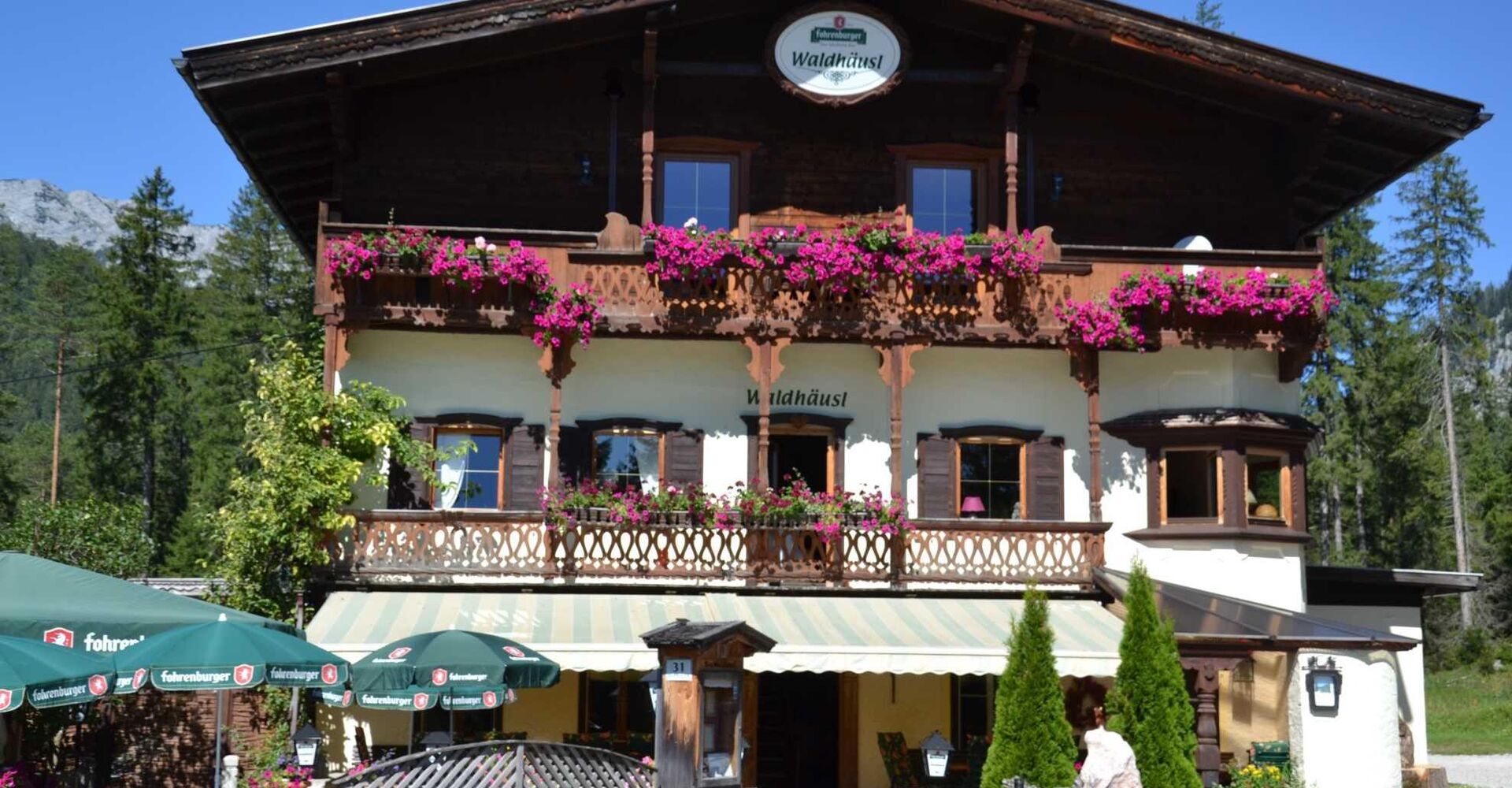 Sommeransicht Waldhäusl