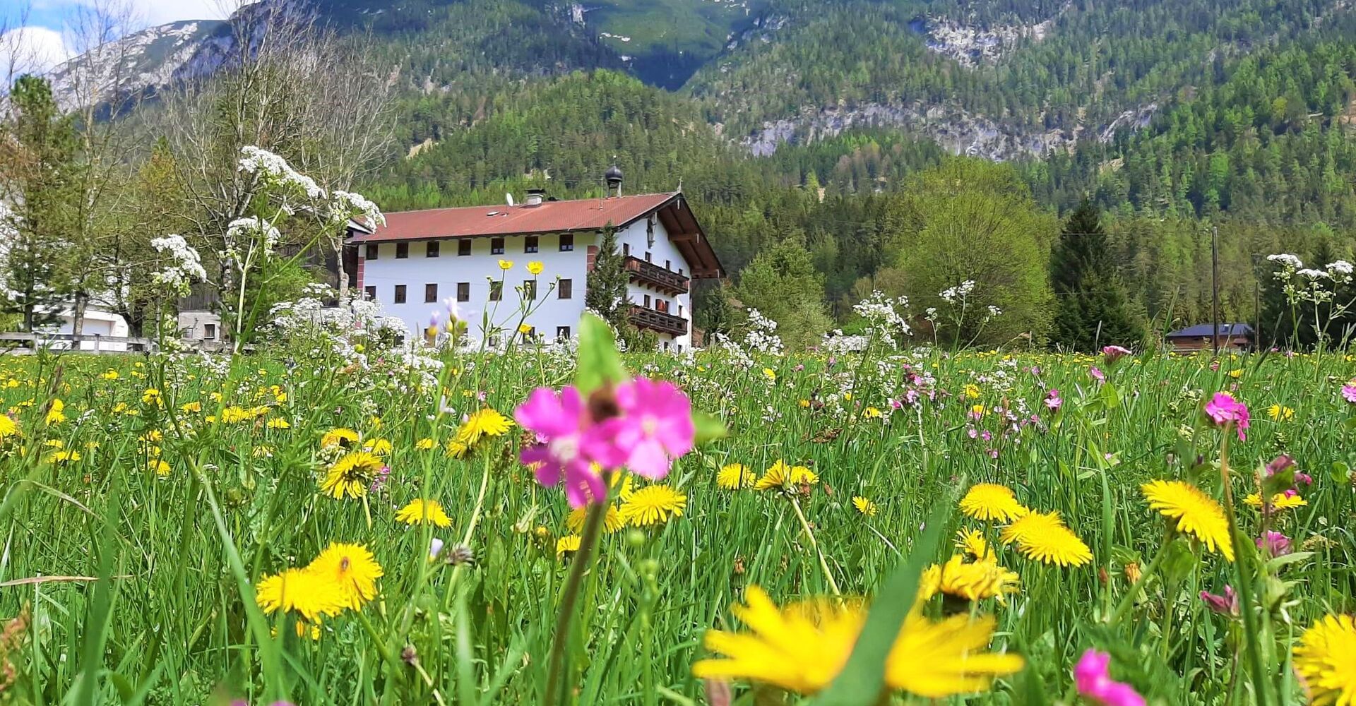 Pulvererhof-Achenkirch-am-Achensee.jpeg