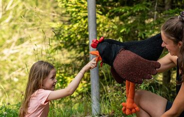 Pasture day with Hen Hanna