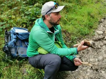 Natur Exklusiv - mit dem Ranger unterwegs