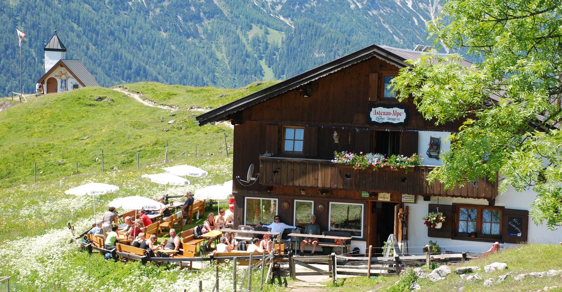 Hüttenansicht im Sommer