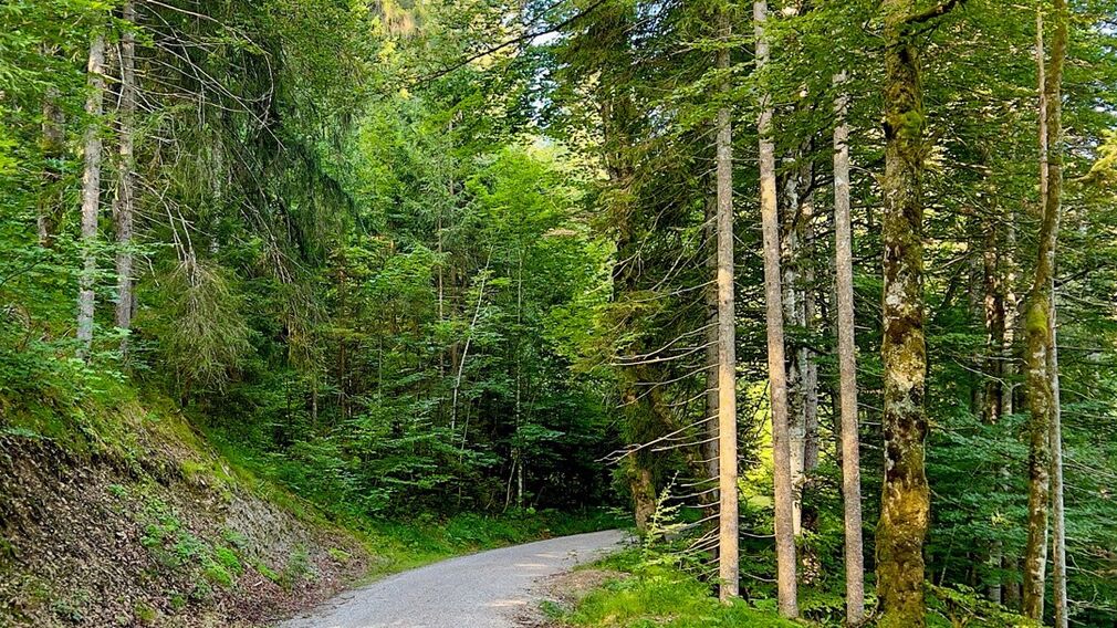 two mountain bikers - on the way on the Rotwandalm towards Bächental and Sylvensteinstausee
