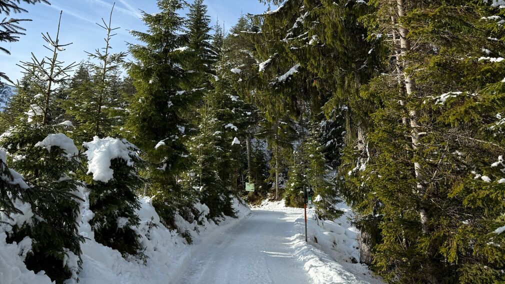 am Beginn der Winterwanderung ins Oberautal in Achenkirch