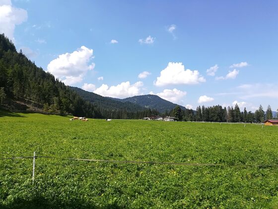 Ferienwohnung Hinterwinkl