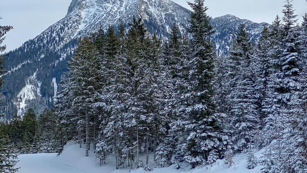 2026_Tuxerhof_Winter_©Phillip-Geisler-Photoart-1