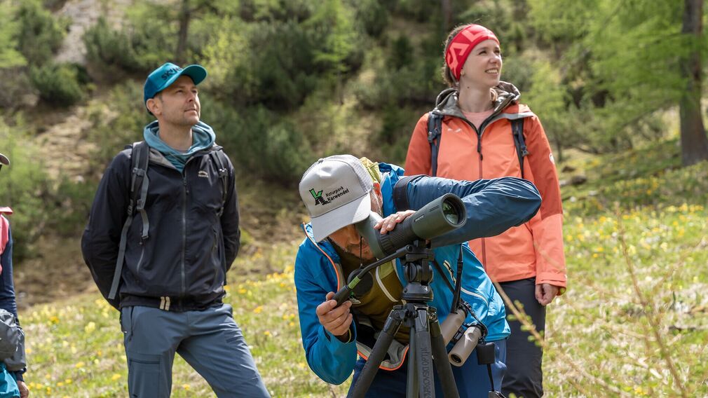 On the way to the Moosenalm in Achenkirch, participants on the Nature Watch Tour gain fascinating insights into the region's diverse flora and fauna.