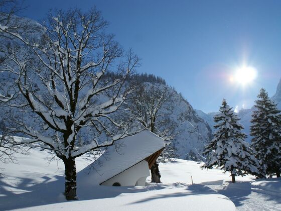 Gramai Alm alpengenuss & natur spa