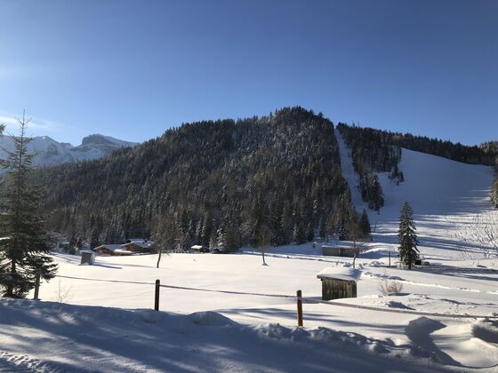 Apartment Silberwald