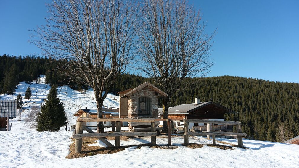 Die Falkenmoosalm in Achenkirch auf 1.328 m – im Hintergrund links der markante Guffertgipfel.