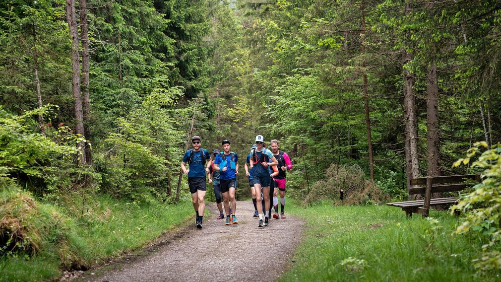 Mystical morning mood in autumn - toll road in the Karwendel valleys in Pertisau - entrance of the Nature Park Karwendel