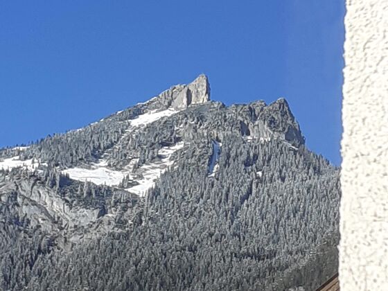Adlerblick