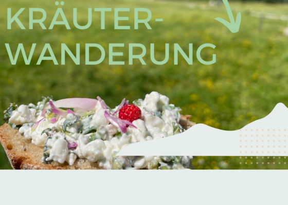 Kräuterwanderung Kräuterwanderung
